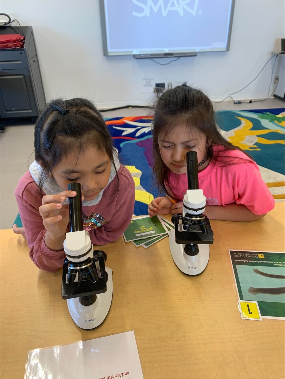 two young students looking into microscopes