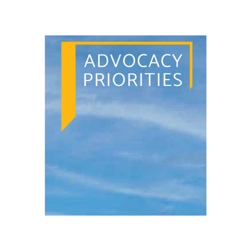 Board Advocacy Priorities